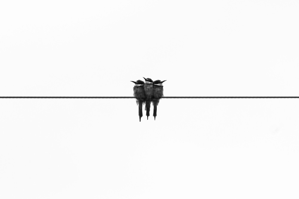 Inertia image. © Pexels